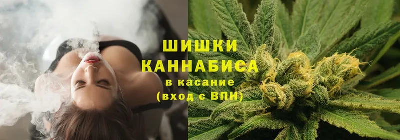 Канабис планчик  блэк спрут как войти  Новосиль 